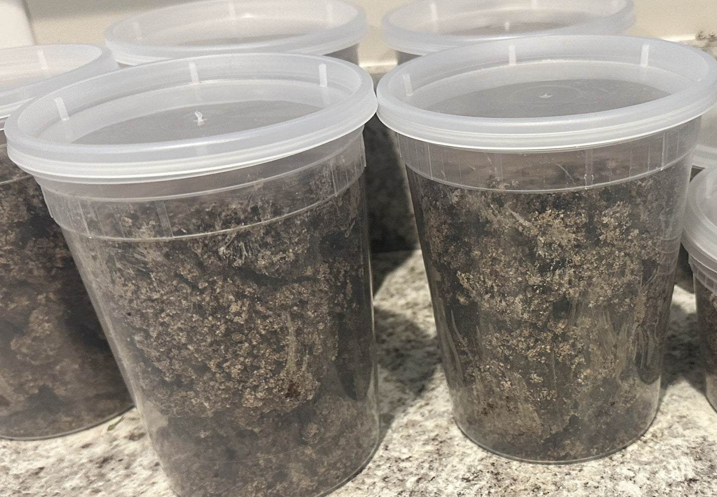 Black Soap from West Africa - 8OZ and 16OZ