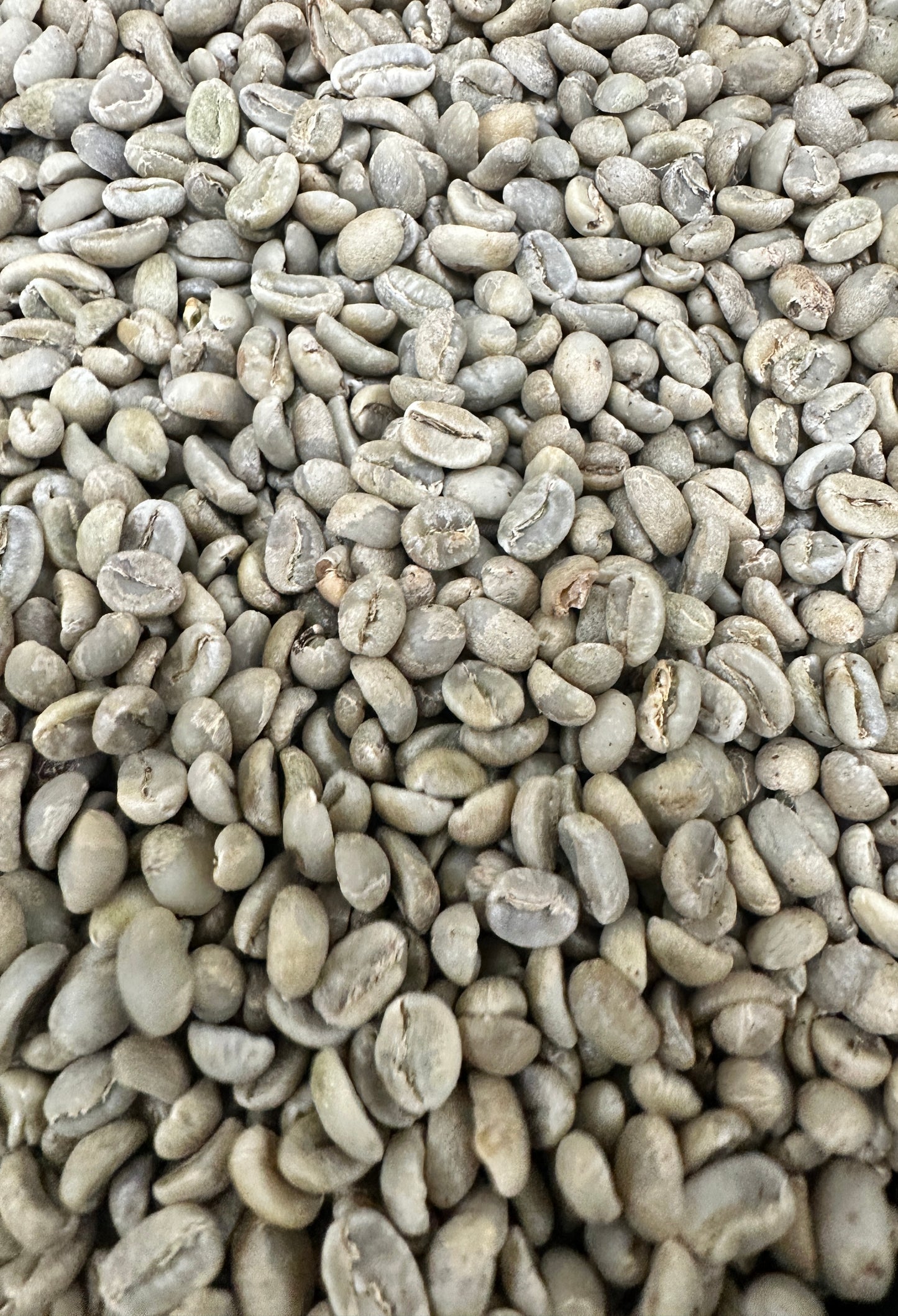 Raw Green Coffee Beans 1lb